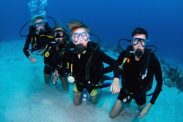  Diving 